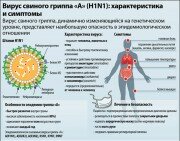 Вирус свиного гриппа "А" (H1N1) 